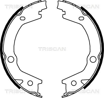 Triscan 8100 43020 - Комплект спирачна челюст, ръчна спирачка vvparts.bg