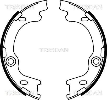 Triscan 8100 43021 - Комплект спирачна челюст vvparts.bg