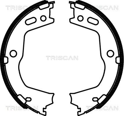 Triscan 8100 43028 - Комплект спирачна челюст, ръчна спирачка vvparts.bg