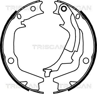 Triscan 8100 43022 - Комплект спирачна челюст vvparts.bg