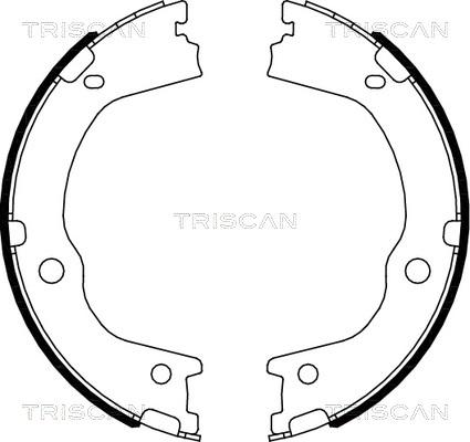 Triscan 8100 43027 - Комплект спирачна челюст vvparts.bg