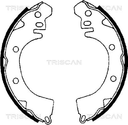 Triscan 8100 42422 - Комплект спирачна челюст vvparts.bg