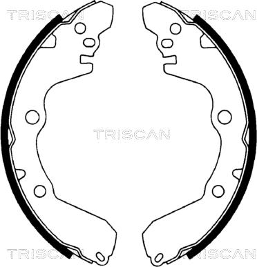 Triscan 8100 42566 - Комплект спирачна челюст vvparts.bg