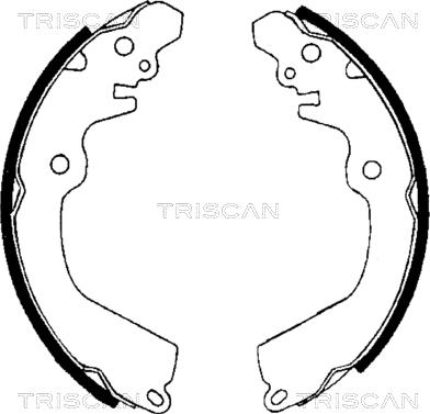 Triscan 8100 42568 - Комплект спирачна челюст vvparts.bg