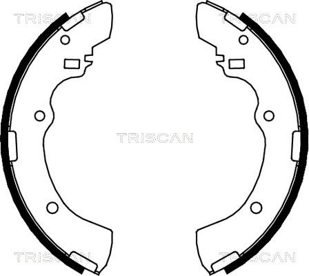 Triscan 8100 42505 - Комплект спирачна челюст vvparts.bg