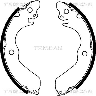 Triscan 8100 42533 - Комплект спирачна челюст vvparts.bg