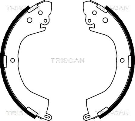 Triscan 8100 42605 - Комплект спирачна челюст vvparts.bg