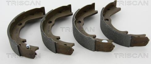 Triscan 8100 42016 - Комплект спирачна челюст, ръчна спирачка vvparts.bg