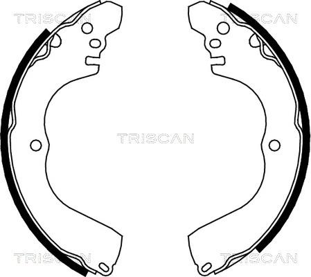 Triscan 8100 42017 - Комплект спирачна челюст vvparts.bg