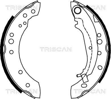 Triscan 8100 42020 - Комплект спирачна челюст vvparts.bg