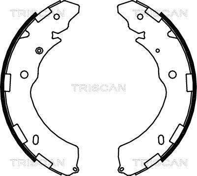 Triscan 8100 42021 - Комплект спирачна челюст vvparts.bg