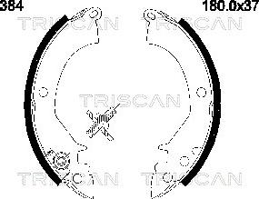 Triscan 8100 42384 - Комплект спирачна челюст vvparts.bg