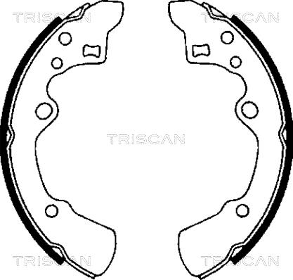 Triscan 8100 50496 - Комплект спирачна челюст vvparts.bg