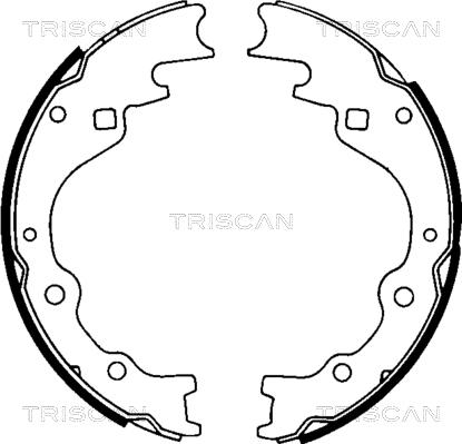 Triscan 8100 50461 - Комплект спирачна челюст vvparts.bg