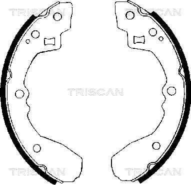 Triscan 8100 50406 - Комплект спирачна челюст vvparts.bg