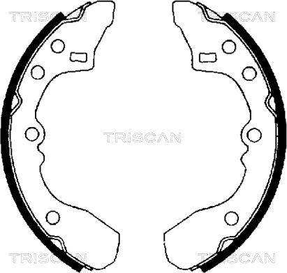 Triscan 8100 50434 - Комплект спирачна челюст vvparts.bg