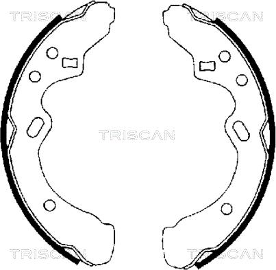 Triscan 8100 50438 - Комплект спирачна челюст vvparts.bg