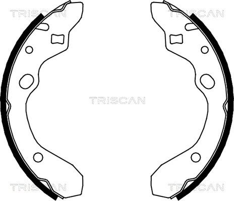 Triscan 8100 50546 - Комплект спирачна челюст vvparts.bg