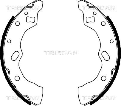 Triscan 8100 50556 - Комплект спирачна челюст vvparts.bg