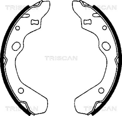 Triscan 8100 50500 - Комплект спирачна челюст vvparts.bg