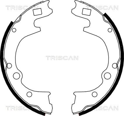 Triscan 8100 50604 - Комплект спирачна челюст vvparts.bg