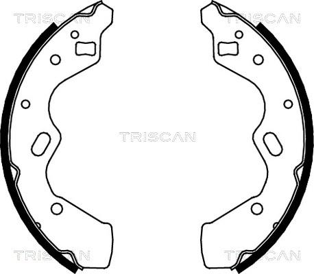 Triscan 8100 50615 - Комплект спирачна челюст vvparts.bg
