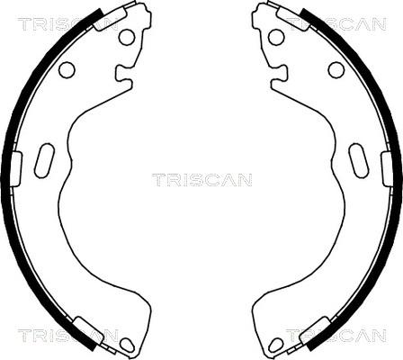 Triscan 8100 50616 - Комплект спирачна челюст vvparts.bg