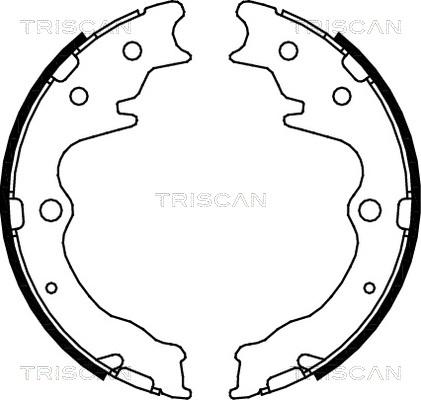 Triscan 8100 50003 - Комплект спирачна челюст, ръчна спирачка vvparts.bg