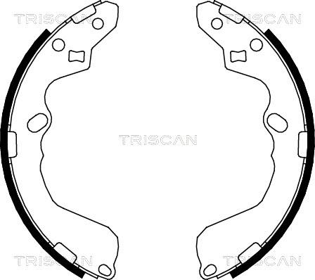 Triscan 8100 50002 - Комплект спирачна челюст vvparts.bg