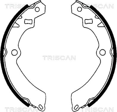 Triscan 8100 69511 - Комплект спирачна челюст vvparts.bg