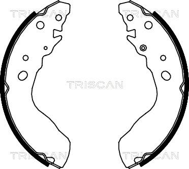 Triscan 8100 69584 - Комплект спирачна челюст vvparts.bg