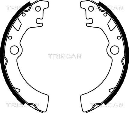 Triscan 8100 69600 - Комплект спирачна челюст vvparts.bg