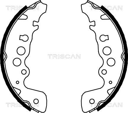 Triscan 8100 69608 - Комплект спирачна челюст vvparts.bg
