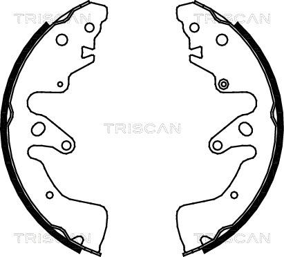 Triscan 8100 69004 - Комплект спирачна челюст vvparts.bg