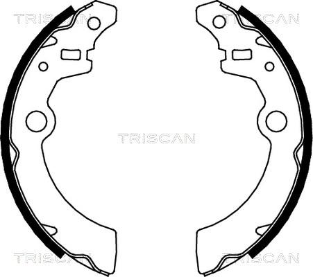 Triscan 8100 69001 - Комплект спирачна челюст vvparts.bg