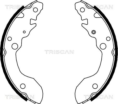 Triscan 8100 69007 - Комплект спирачна челюст vvparts.bg
