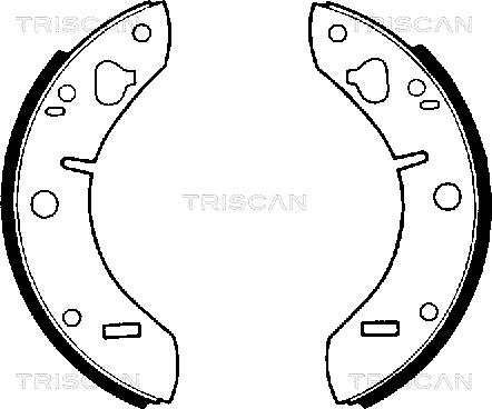Triscan 8100 65011 - Комплект спирачна челюст vvparts.bg