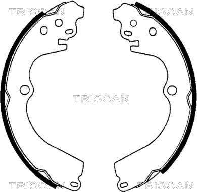 Triscan 8100 68551 - Комплект спирачна челюст vvparts.bg