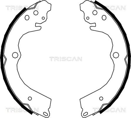 Triscan 8100 68005 - Комплект спирачна челюст, ръчна спирачка vvparts.bg