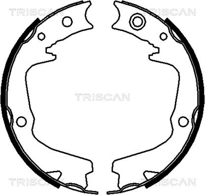 Triscan 8100 68002 - Комплект спирачна челюст vvparts.bg