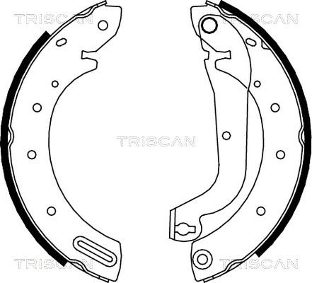 Triscan 8100 14596 - Комплект спирачна челюст vvparts.bg