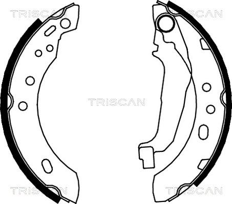 Triscan 8100 14543 - Комплект спирачна челюст vvparts.bg