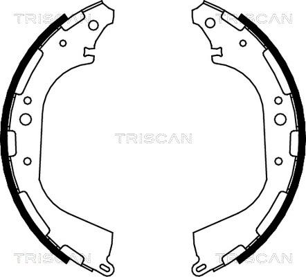 Triscan 8100 14564 - Комплект спирачна челюст vvparts.bg