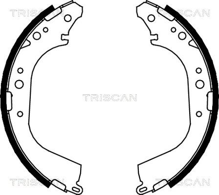 Triscan 8100 14565 - Комплект спирачна челюст vvparts.bg