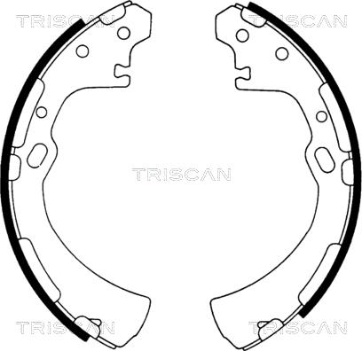 Triscan 8100 14510 - Комплект спирачна челюст vvparts.bg
