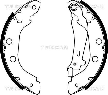 Triscan 8100 14614 - Комплект спирачна челюст vvparts.bg