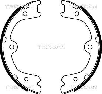 Triscan 8100 14009 - Комплект спирачна челюст, ръчна спирачка vvparts.bg