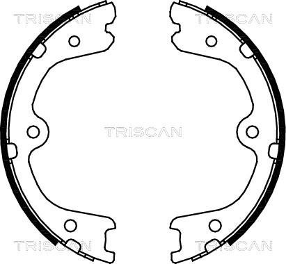 Triscan 8100 14008 - Комплект спирачна челюст, ръчна спирачка vvparts.bg