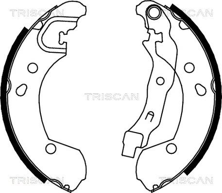 Triscan 8100 14002 - Комплект спирачна челюст vvparts.bg