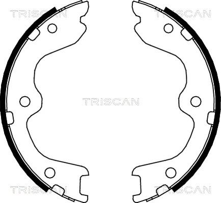 Triscan 8100 14010 - Комплект спирачна челюст vvparts.bg